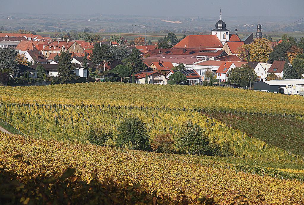 Апартаменти Weinstube Schwarzamsel Шпаєр Екстер'єр фото